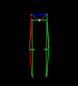 Skelet's reconstruction