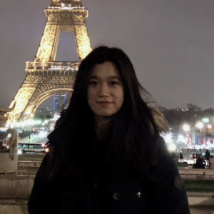 Xiaodan Chen